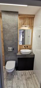 a bathroom with a sink and a toilet and a mirror at Apartamenty Majówka in Kłodzko