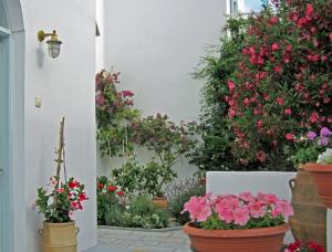Kebun di luar SPIROS & HIROKO Hotel - ADULTS ONLY