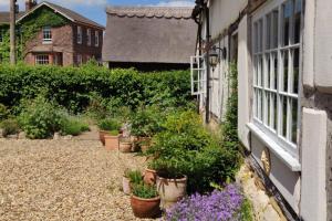 a garden with potted plants on the side of a building at Cosy listed barn in peaceful country village in Grandborough