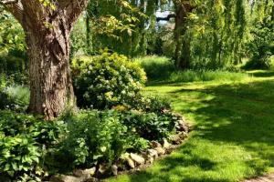 a garden with a tree and some bushes at Cosy listed barn in peaceful country village in Grandborough