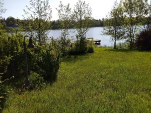 a lamp in the grass next to a lake at Dom na Mazurach Jeziorna in Miłki