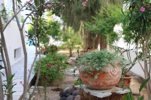 Kebun di luar SPIROS & HIROKO Hotel - ADULTS ONLY