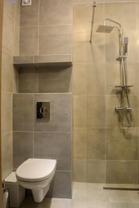 a bathroom with a toilet and a shower at Apartamenty Asturia Rymanów Zdrój in Rymanów-Zdrój