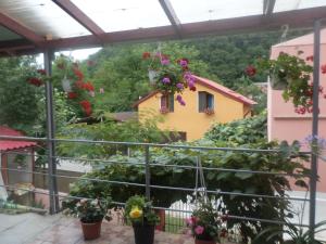 a garden with flowers in pots and a building at CASA IZA in Băile Herculane