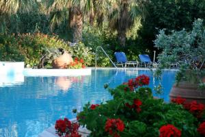 Kolam renang di atau di dekat SPIROS & HIROKO Hotel - ADULTS ONLY