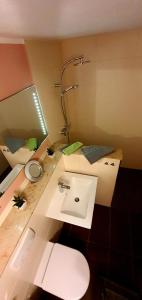 a bathroom with a sink and a toilet and a mirror at Sonniges Eck Ferienwohnung 1 in Kurort Rathen