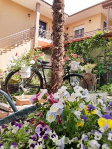 a bike parked next to a bunch of flowers at Rania's guest house in Aridaia