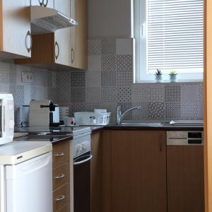 Kuchyňa alebo kuchynka v ubytovaní Vita Apartmanok