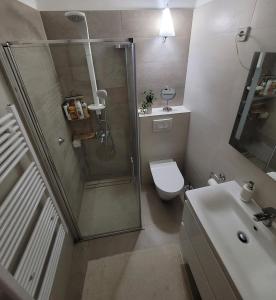 a bathroom with a shower and a toilet and a sink at Apartment Elanda Downtown in Zadar