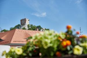 Galerija fotografija objekta Vivaldi Apartments u gradu 'Mikulov'