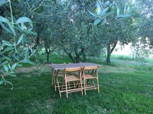 Zahrada ubytování Agriturismo La Casina nel Vigneto