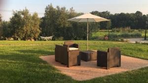 Zahrada ubytování Agriturismo La Casina nel Vigneto