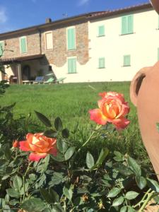 Zahrada ubytování Agriturismo La Casina nel Vigneto