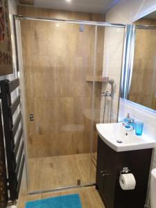 a bathroom with a shower with a sink and a toilet at Izba w centrum miasta in Zakopane +14 photos