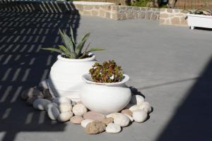 two white vases with plants in them on a patio at Maistrali in Provatas