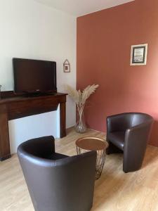 TV a/nebo společenská místnost v ubytování Chambres et table d'hôtes Le cèdre Aveyron