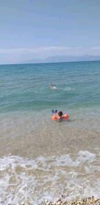 una persona che nuota nell'oceano con un frisbee di Joanna studios -apartment ad Acharavi