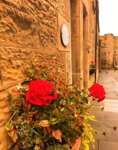 a bunch of red flowers on the side of a building at Juliet Cottage, late Georgian treasure, charming, cosy and historic, one of the closest cottages to Alnwick Castle in Alnwick