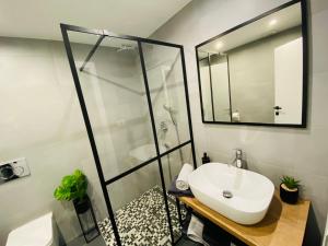 a bathroom with a sink and a glass shower at Apartma Mija-Dekani in Dekani
