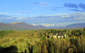 a house in a field with mountains in the background at Gościniec Horb in Wetlina
