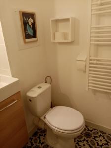 ein Badezimmer mit einem weißen WC und einem Waschbecken in der Unterkunft Appartement cocoon à Courseulles sur Mer in Courseulles-sur-Mer