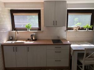 Kuchyňa alebo kuchynka v ubytovaní Apartamenty Chris + 16 fotografií