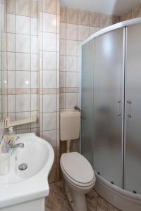 a bathroom with a toilet and a shower and a sink at Apartments Kari in Crikvenica
