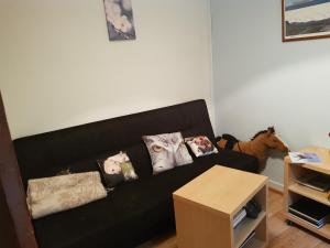 un sofá negro con almohadas y un caballo en la sala de estar. en Skjólsteinar, en Grundarfjordur