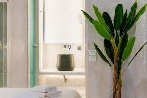 Anastasia's Visage II Stylish Accommodation Rooms City Center Mykonos في مدينة ميكونوس: حمام به نبات أخضر في نافذة