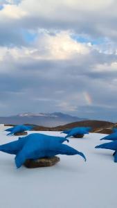 un gruppo di uccelli blu nella neve di Asteroskoni of Serifos a Livadi