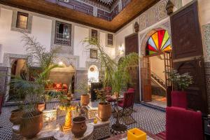 Riad Naila & suite في فاس: غرفة مليئة بالكثير من النباتات الفخارية