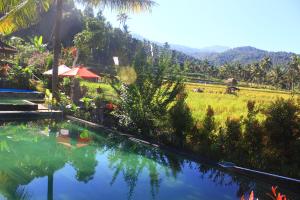 a swimming pool with a view of a mountain at Amartya Puri Green Cottages in Munduk