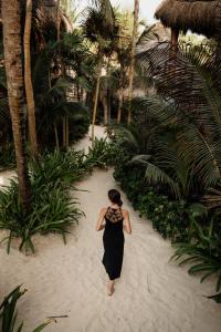 Hosté ubytování Encantada Tulum