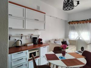 Kuchyňa alebo kuchynka v ubytovaní Sea Sound Haraki apartment
