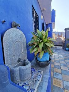 Imagem da galeria de Bayt Alice Hostel em Tânger