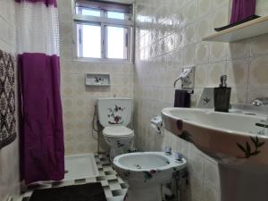 a bathroom with a sink and a toilet at Casa do Norte in San Salvador