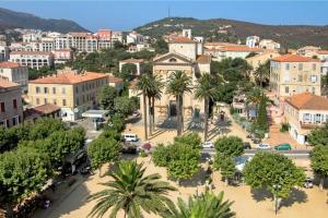an aerial view of a city with palm trees and buildings at Studio Les Allées in LʼÎle-Rousse