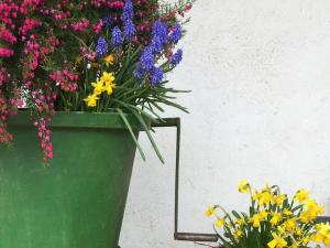 a green pot filled with colorful flowers next to a wall at Ferien- und Winzerhof Simon in Freiburg im Breisgau