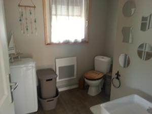 a bathroom with a toilet and a sink and a window at LES HERISSONS in Étricourt-Manancourt +2 photos