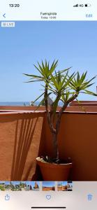 Fotografia z galérie ubytovania Penthouse beach apartment v destinácii Fuengirola