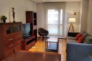 a living room with a couch and a tv at LA TERRAZA DE LA FLORIDA terraza 225 m2 in Oviedo