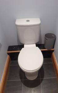 a bathroom with a white toilet in a room at Vergam Terrace in Fishguard