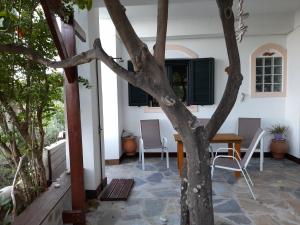 a tree in the middle of a patio at Meltemi in Xilosírtis