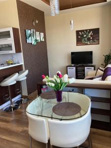 - un salon avec une table en verre et un canapé dans l'établissement Apartman HIGHTATRAS VIEW Centrum Poprad, à Poprad