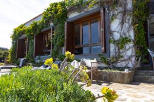 Zahrada ubytování Villa Curiazzi Guesthouse Viale la Pelosa 16
