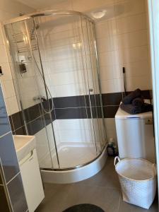 a bathroom with a shower and a toilet and a sink at Apartman HIGHTATRAS VIEW Centrum Poprad in Poprad +19 photos