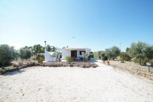 Táj Show holiday homes közelében