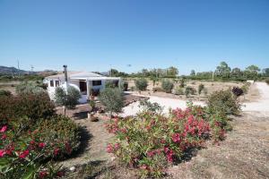 A garden outside Villa da Luciana