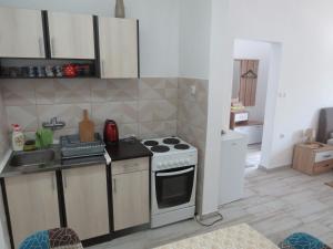 a small kitchen with a stove and a sink at Apartments Jovanović in Perast