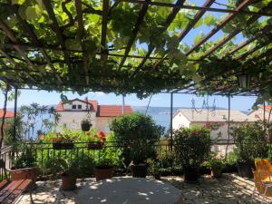 Zahrada ubytování Apartman Štefanija